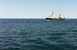 Проекти по Програма за морско дело и рибарство ще се приемат до 25-и Май 2017